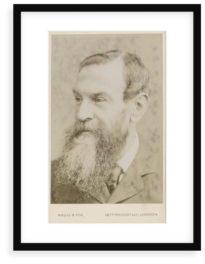 Portrait of John Attfield (1835-1911) by Maull & Fox