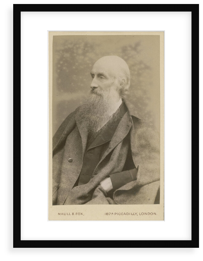 Portrait of John Beddoe (1826-1911) by Maull & Fox