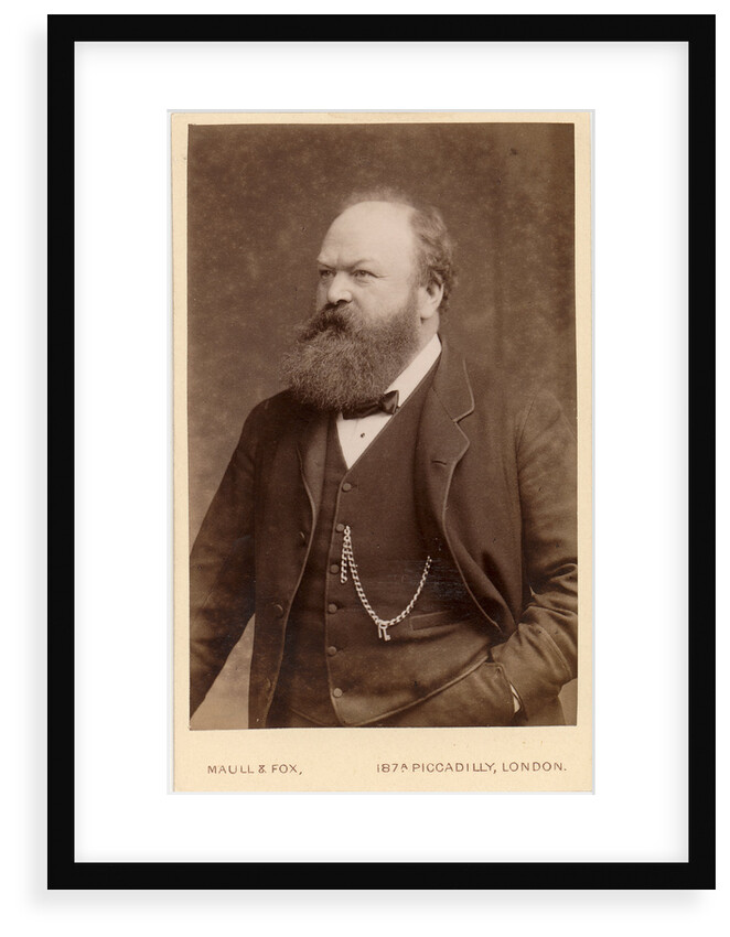 Portrait of Andrew Ainslie Common (1841-1903) by Maull & Fox