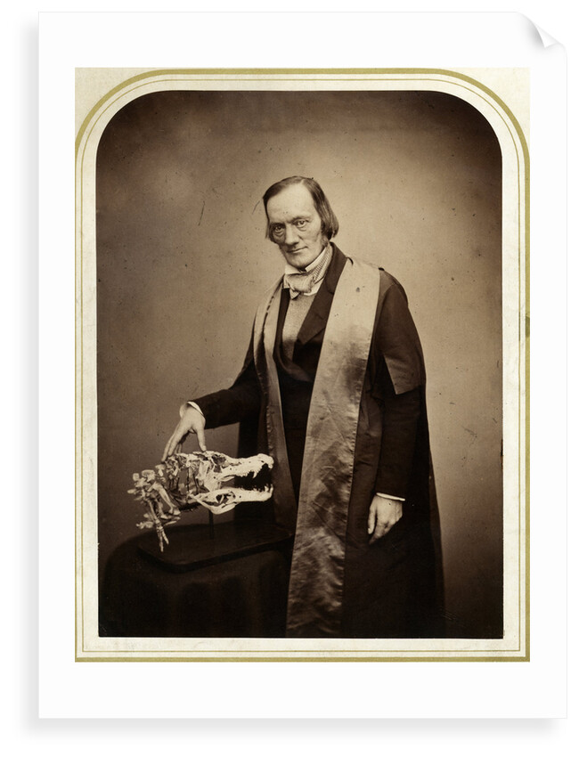 Portrait of Richard Owen (1804-1892) by Maull & Polyblank