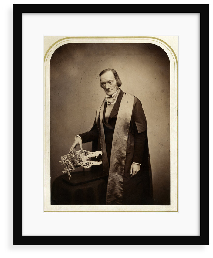 Portrait of Richard Owen (1804-1892) by Maull & Polyblank