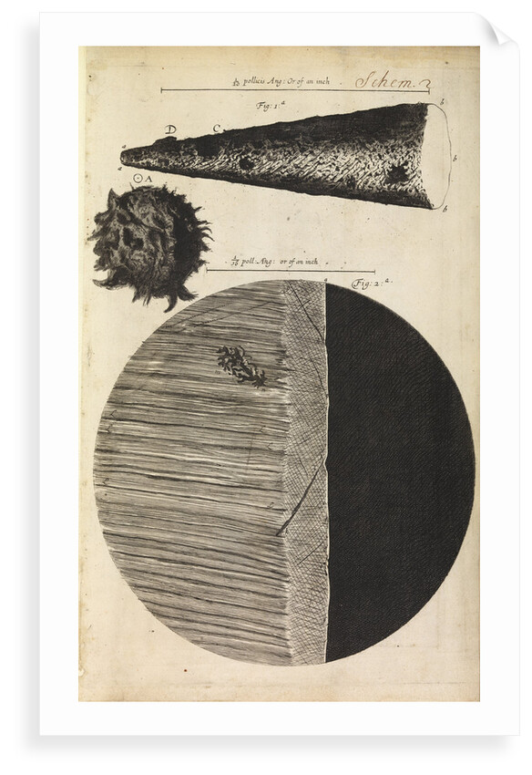 Microscopic views of the point of a needle; printed full-stop; edge of razor by Robert Hooke