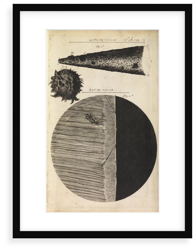 Microscopic views of the point of a needle; printed full-stop; edge of razor by Robert Hooke
