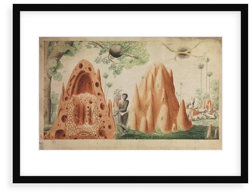Landscape with termite hills by Henry Smeathman