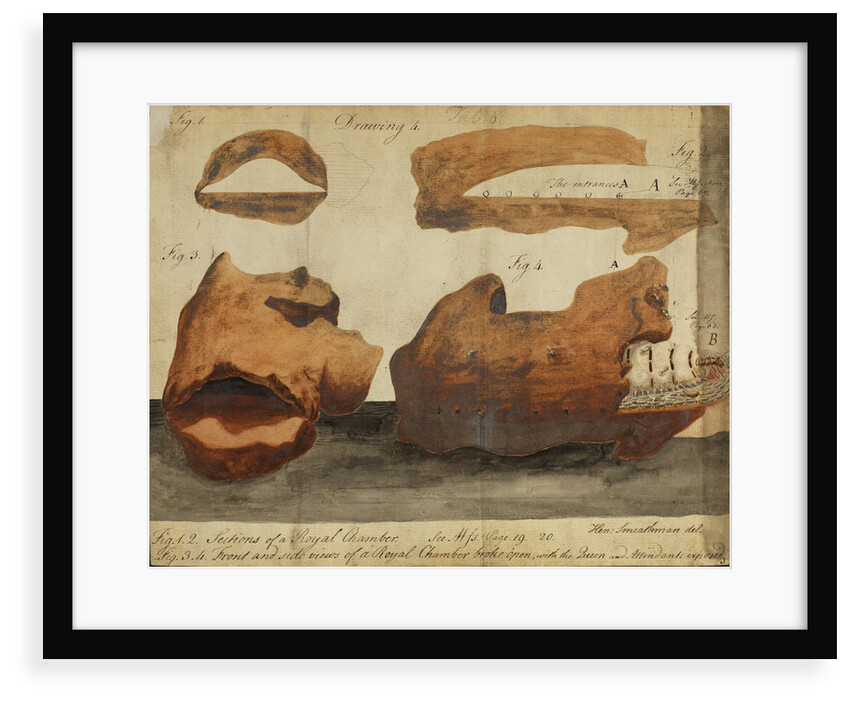 Royal chambers of a termite colony by Henry Smeathman