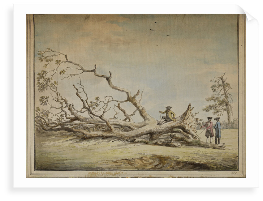 Storm-felled tree near Roehampton by Edward Edwards