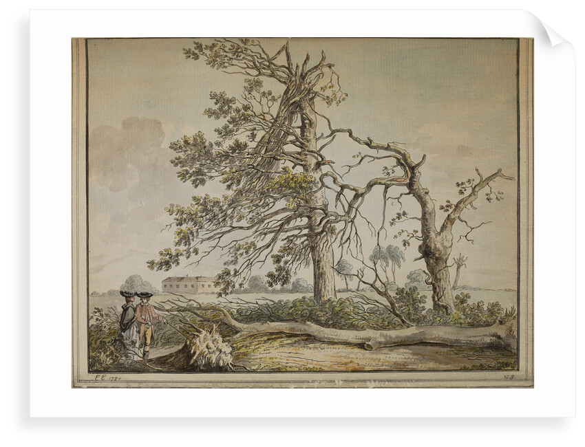 Damaged trees on an avenue to Barnes Common by Edward Edwards