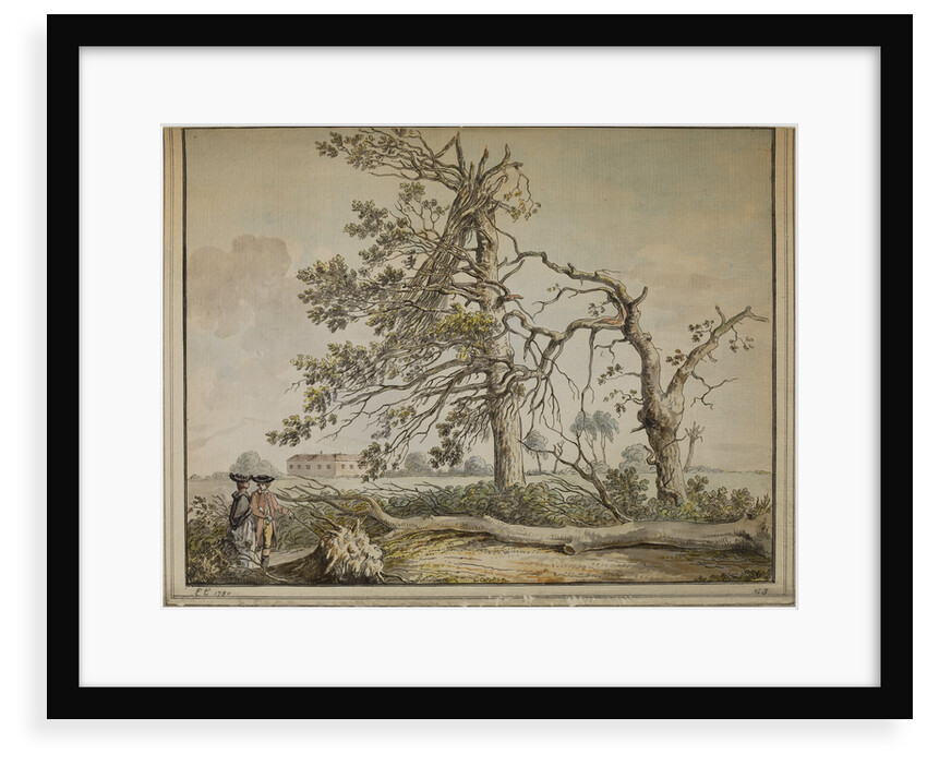Damaged trees on an avenue to Barnes Common by Edward Edwards