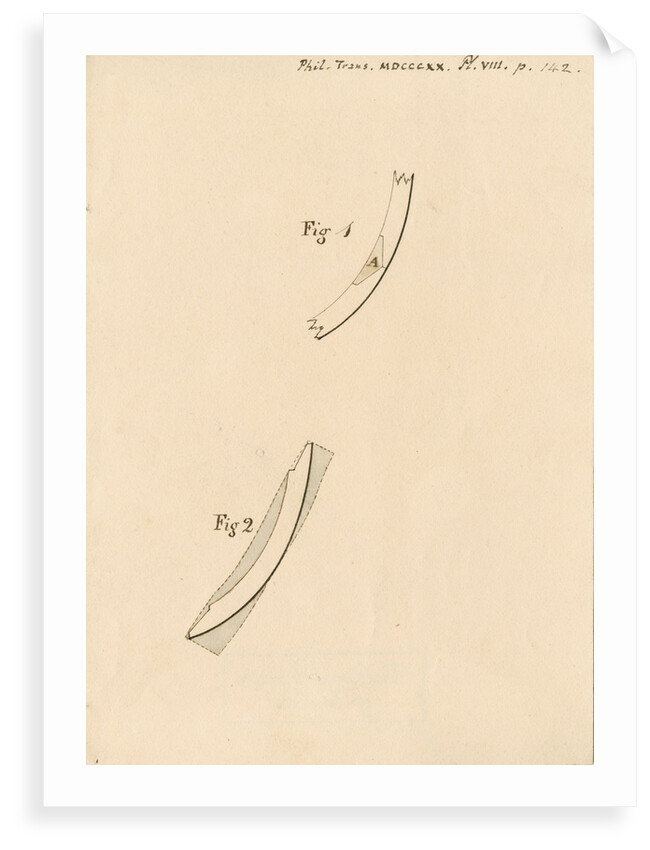 Ribs and chocks in merchant ships by Robert Seppings