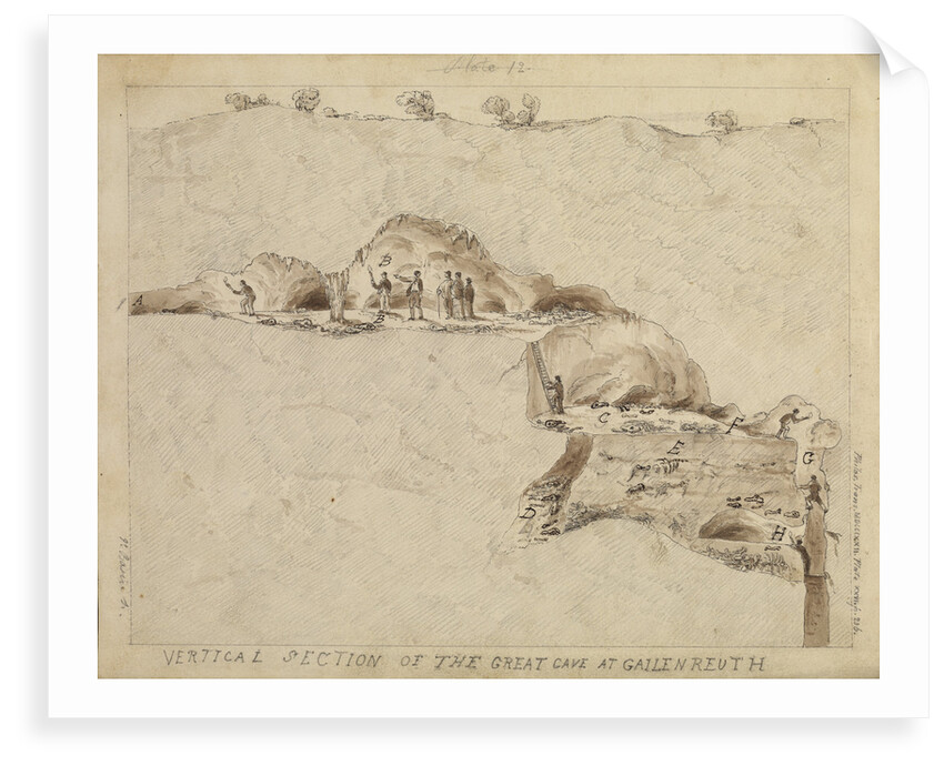 'Vertical section of the great cave at Gailenreuth' by Thomas Webster
