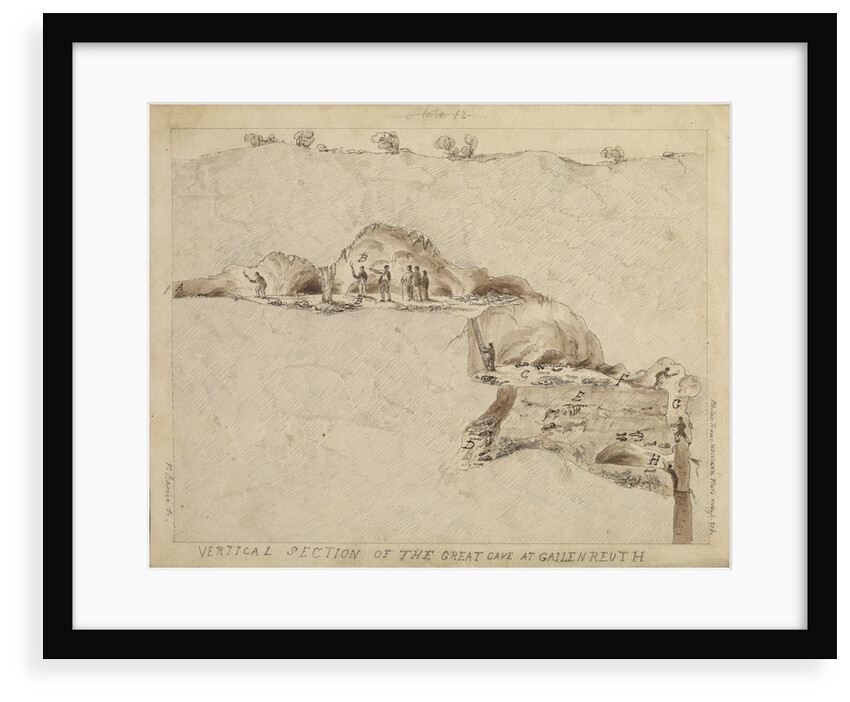 'Vertical section of the great cave at Gailenreuth' by Thomas Webster