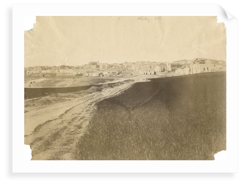 'Spinazzola' by Alphonse Bernoud Grellier