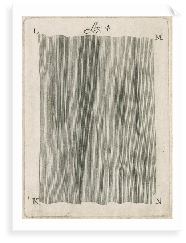 Microscopical observations of the structure of human teeth by Anonymous