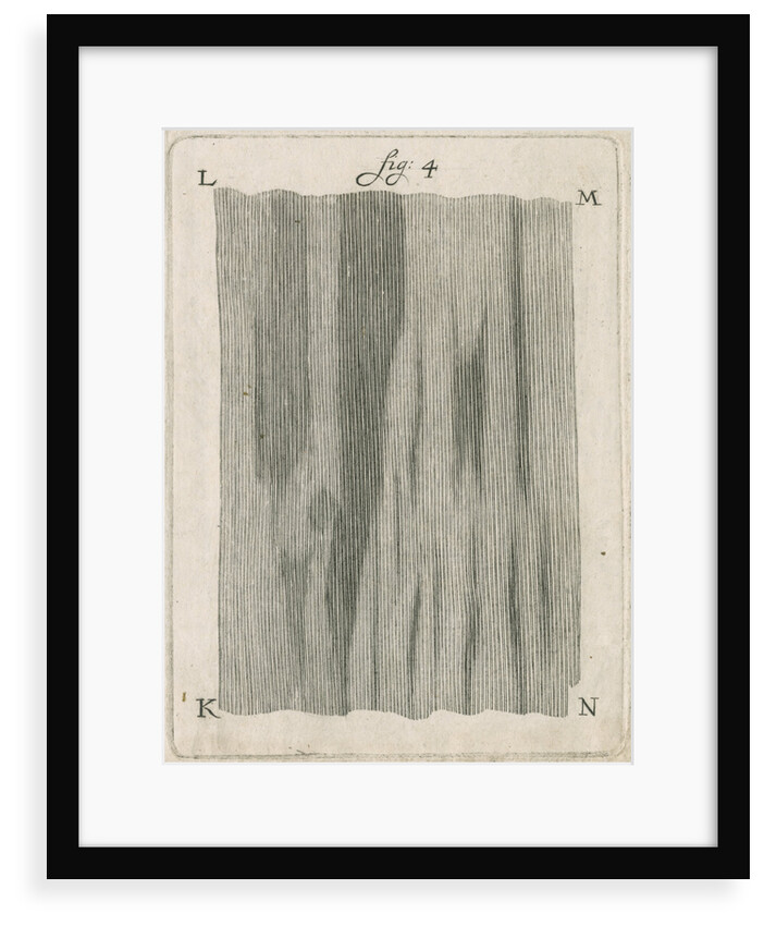 Microscopical observations of the structure of human teeth by Anonymous