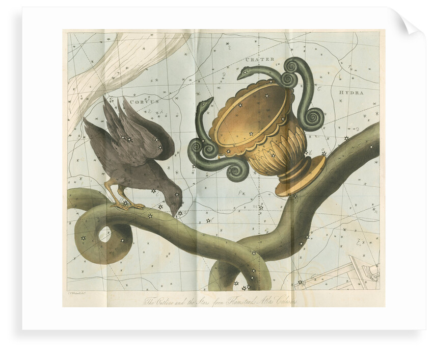 Constellations of Corvis, Crater and Hydra by Anonymous