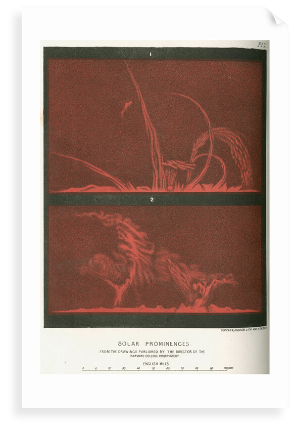 Solar prominences by Cooper & Hodson