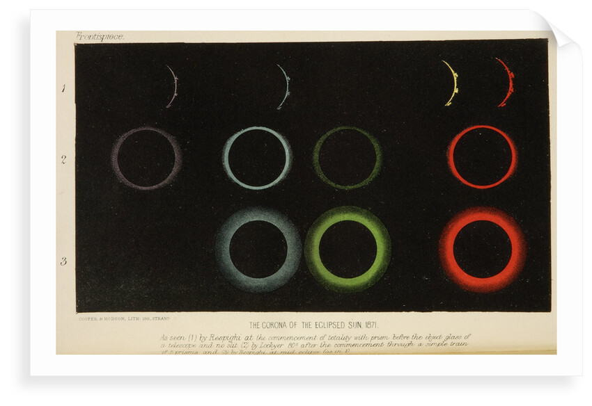 Corona of the eclipsed Sun, 1871 by Cooper & Hodson