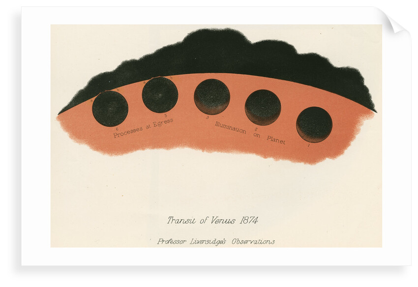 Professor Liversidge's observations of the transit of Venus by Anonymous