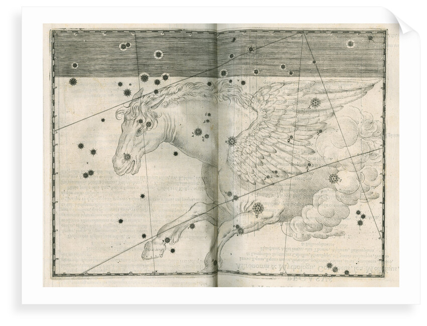 Constellation of Pegasus by Alexander Mair