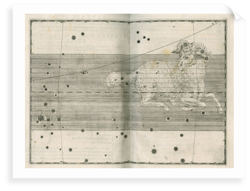 Constellation of Aries by Alexander Mair