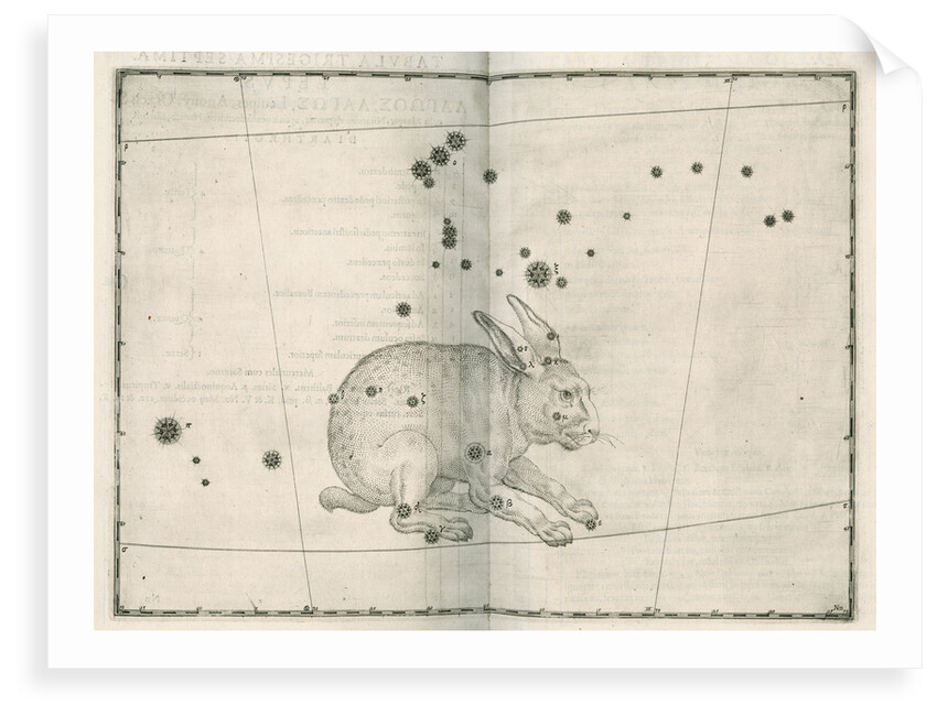 Constellation of Lepus by Alexander Mair