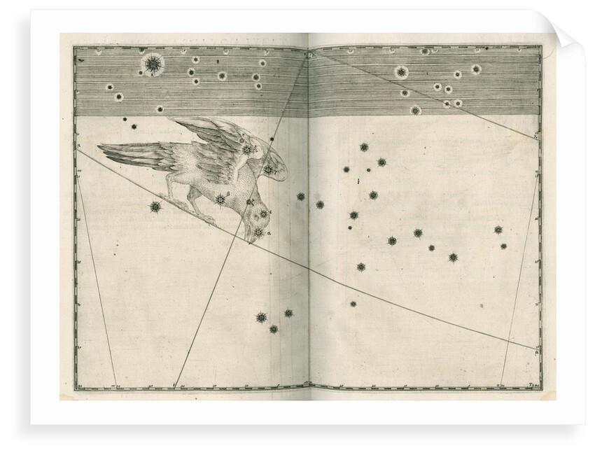 Constellation of Corvus by Alexander Mair