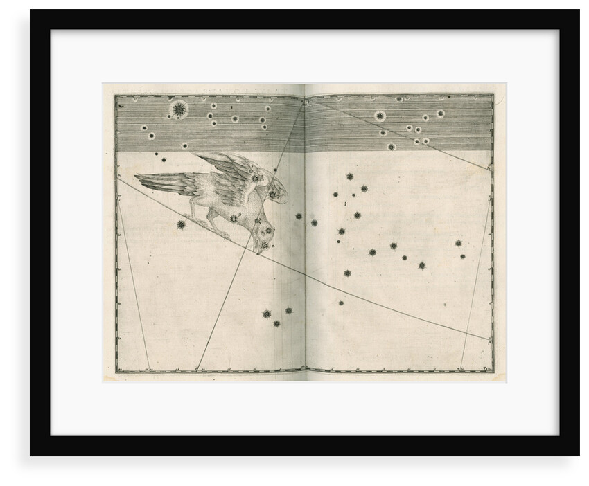 Constellation of Corvus by Alexander Mair