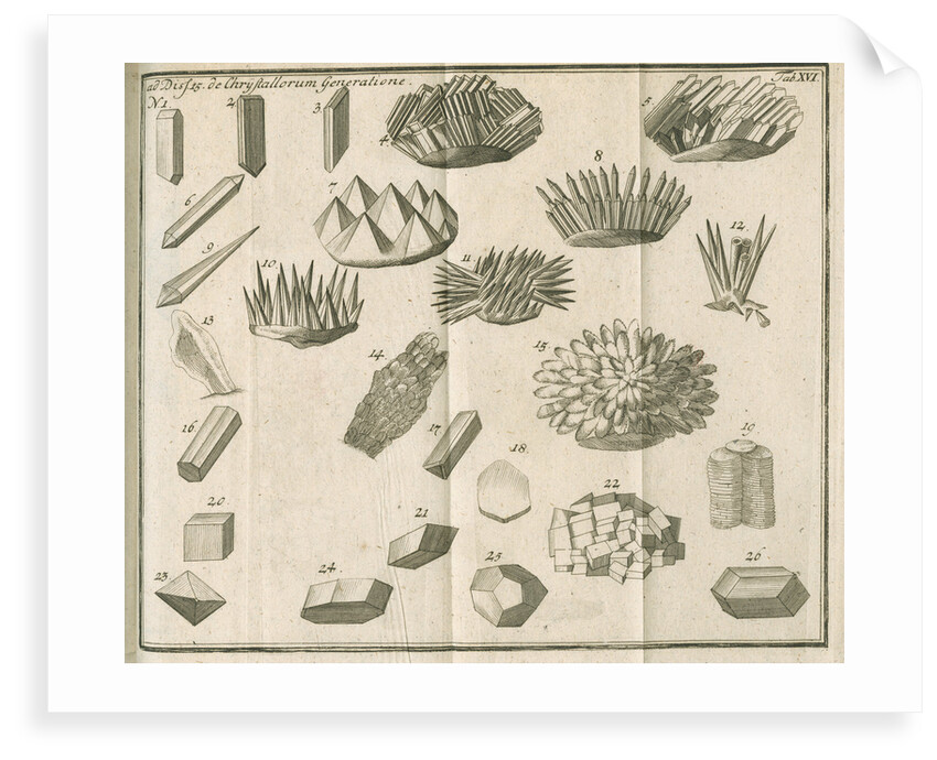 Microscopical observations of crystals from Linnaeus's 'Academic delights' by Anonymous