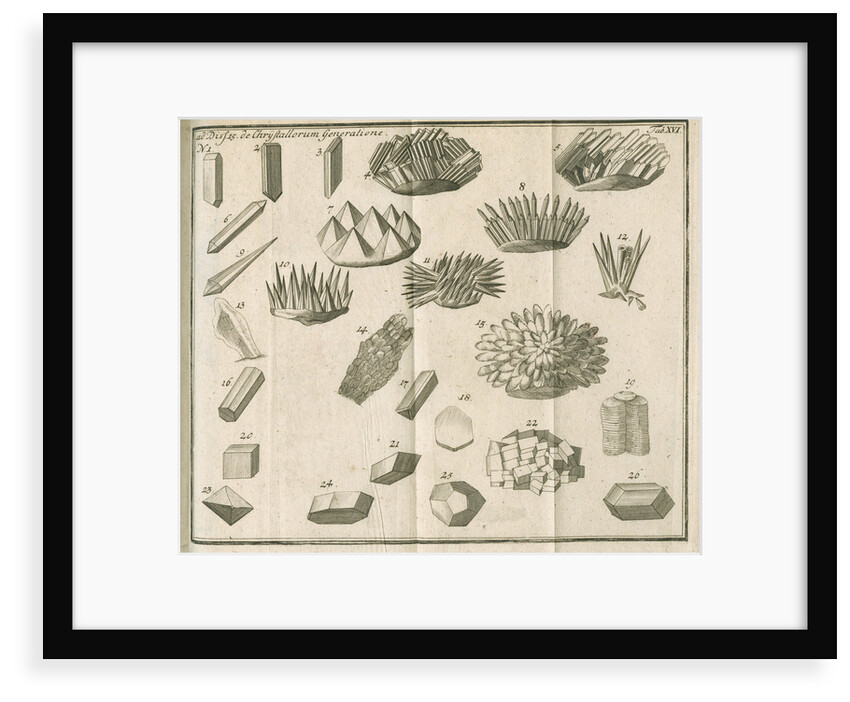 Microscopical observations of crystals from Linnaeus's 'Academic delights' by Anonymous
