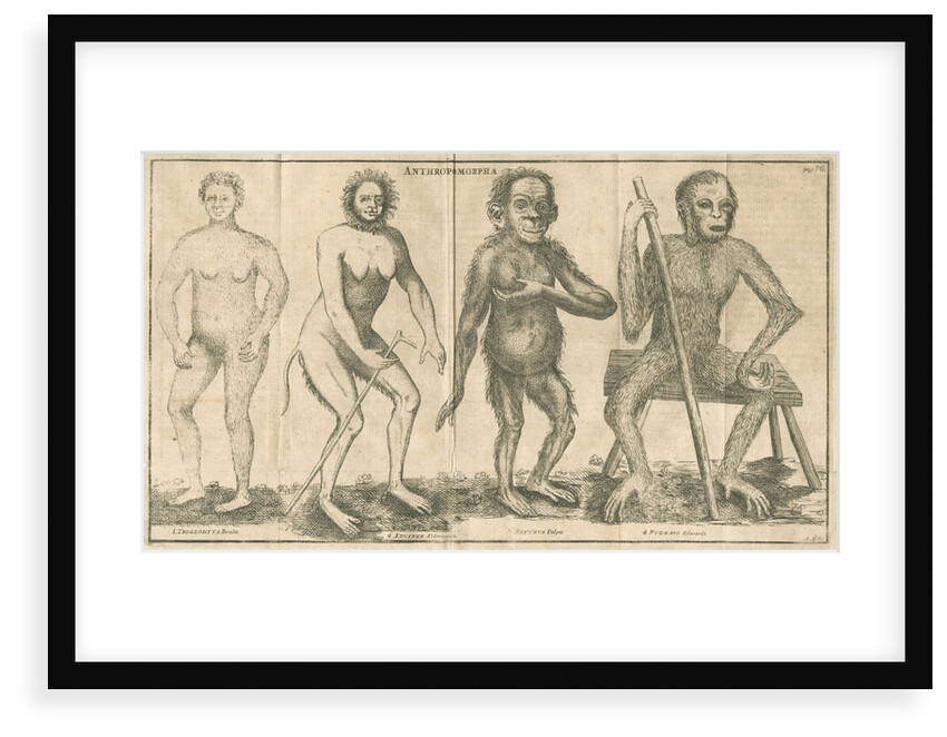 Four 'humanoid' figures from Linnaeus's 'Academic delights' by Anonymous