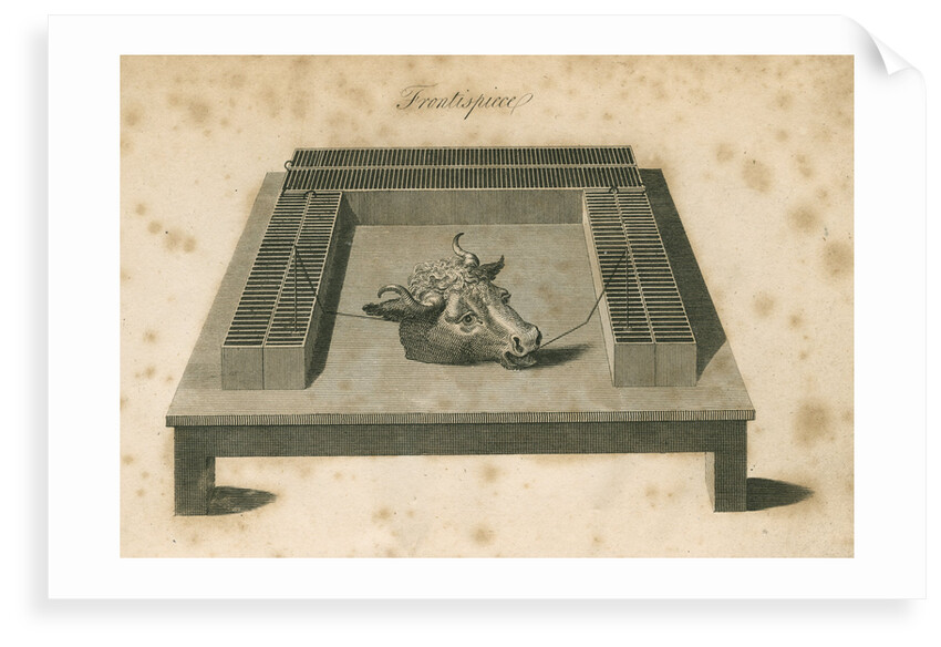 Electrical experiment with ox's head by Anonymous