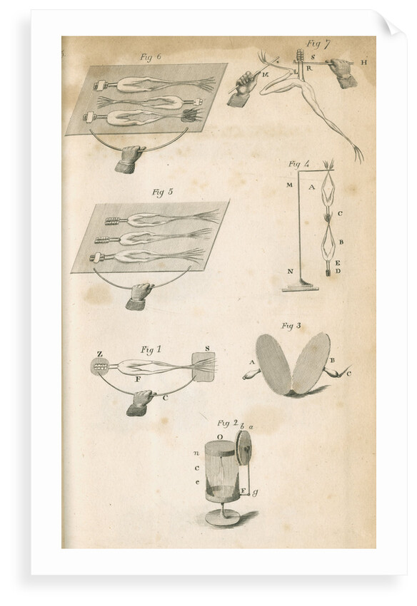 Experiments on galvanism with frogs by Anonymous