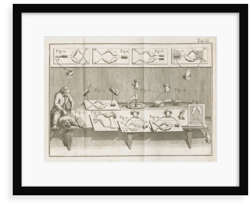 Galvani's electrical experiments on frogs legs by Anonymous