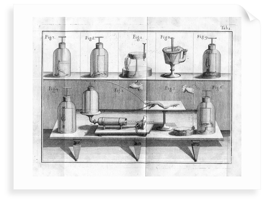 Aldini's experiments on Galvanism with frogs legs by Anonymous