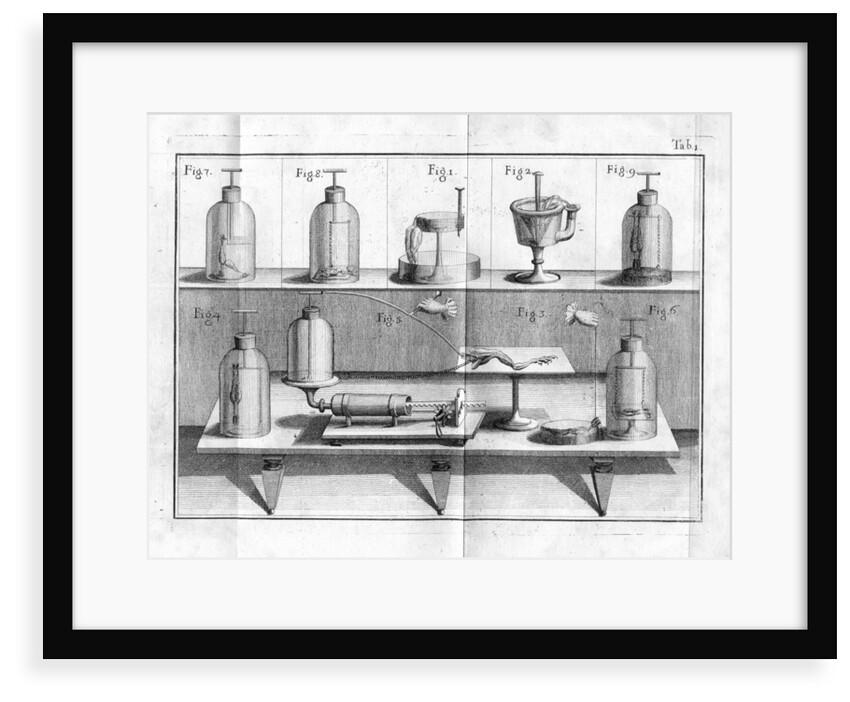 Aldini's experiments on Galvanism with frogs legs by Anonymous