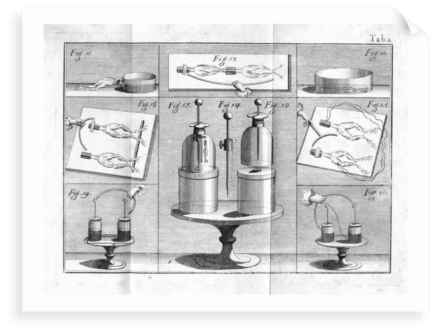 Aldini's experiments on Galvanism with frogs legs by Anonymous