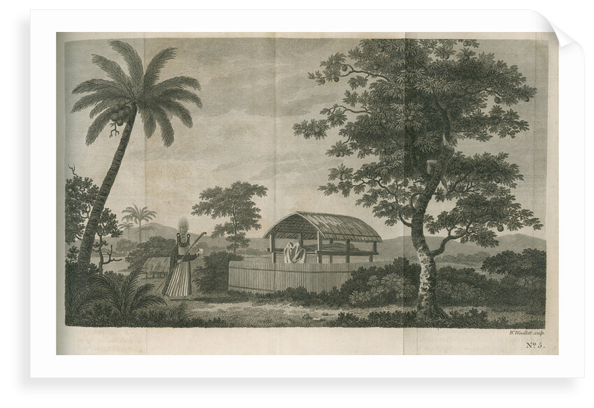 A tupapow (tupapau), or burial shed by William Woollett