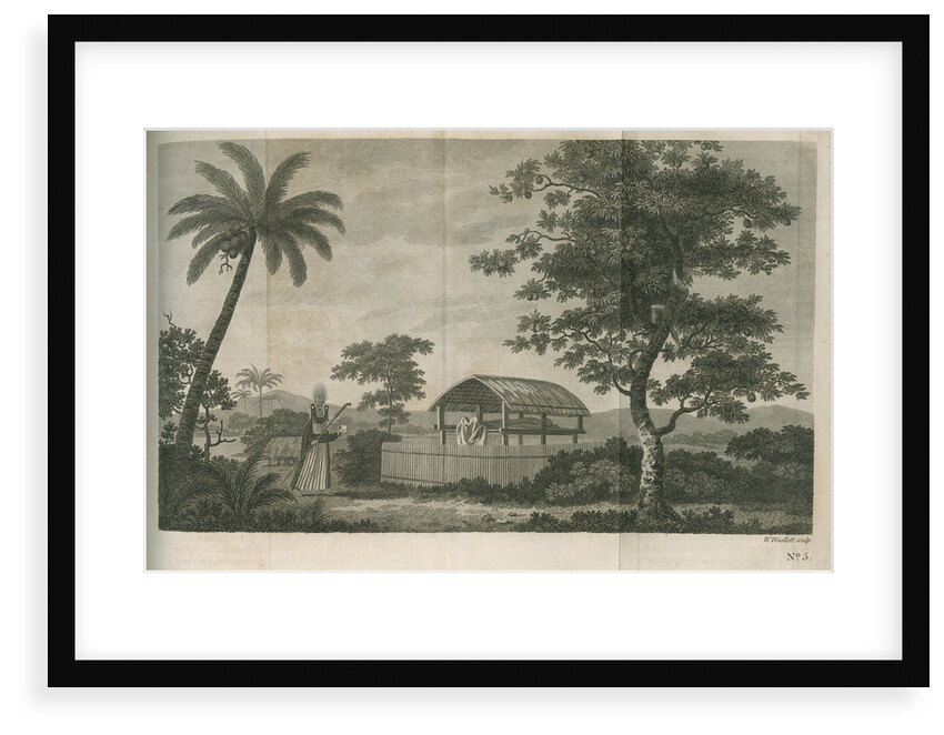 A tupapow (tupapau), or burial shed by William Woollett