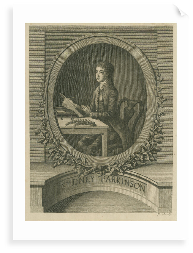 Portrait of Sydney Parkinson (1740-1771) by James Newton