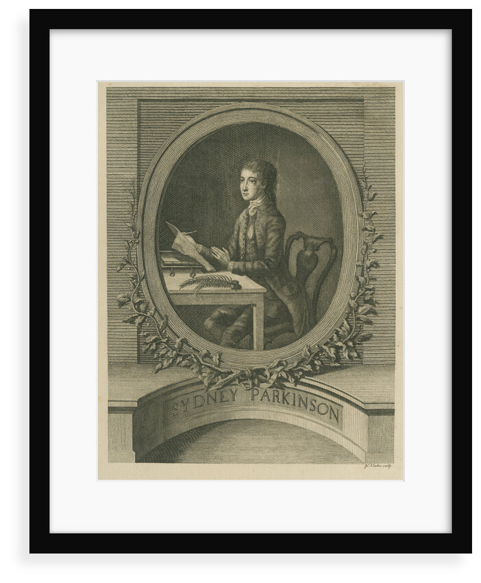 Portrait of Sydney Parkinson (1740-1771) by James Newton