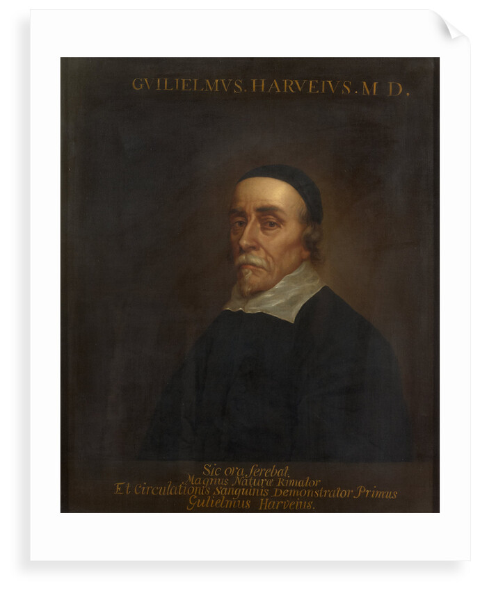 Portrait of William Harvey (1578-1657) by unknown