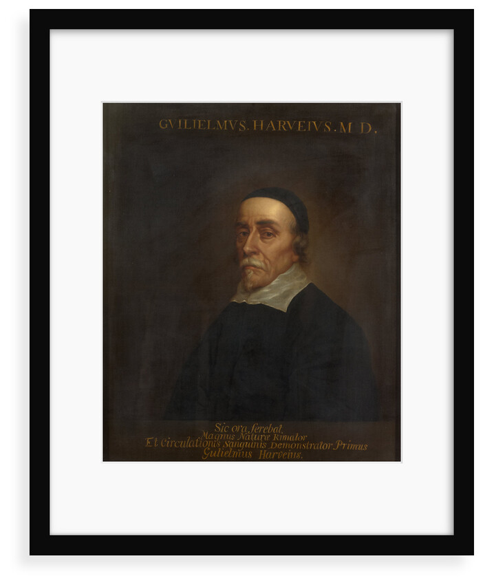 Portrait of William Harvey (1578-1657) by unknown