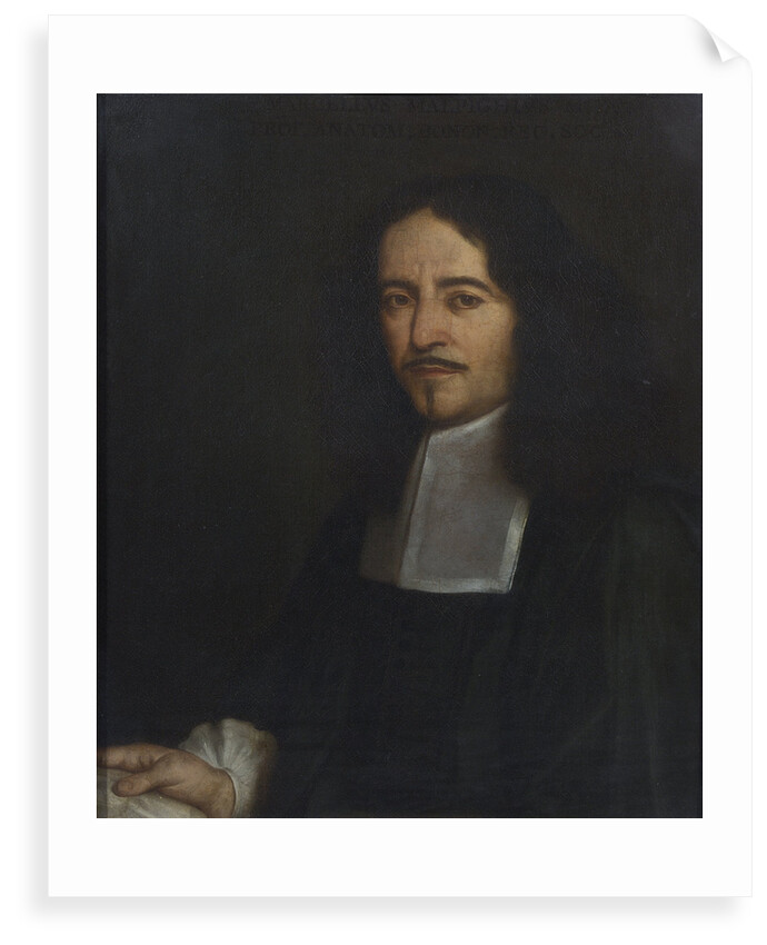Portrait of Marcello Malpighi (1628-1694) by unknown