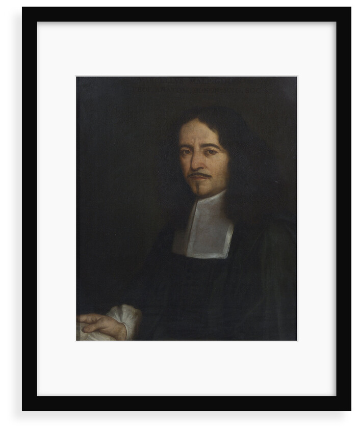 Portrait of Marcello Malpighi (1628-1694) by unknown