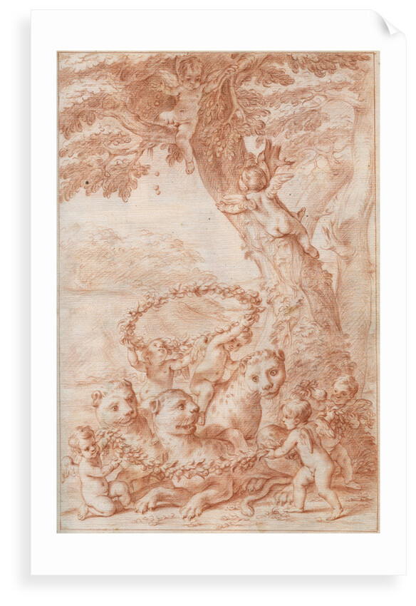 Frontispiece of Marcello Malpighi's 'Anatome Plantarum' by Marcello Malpighi