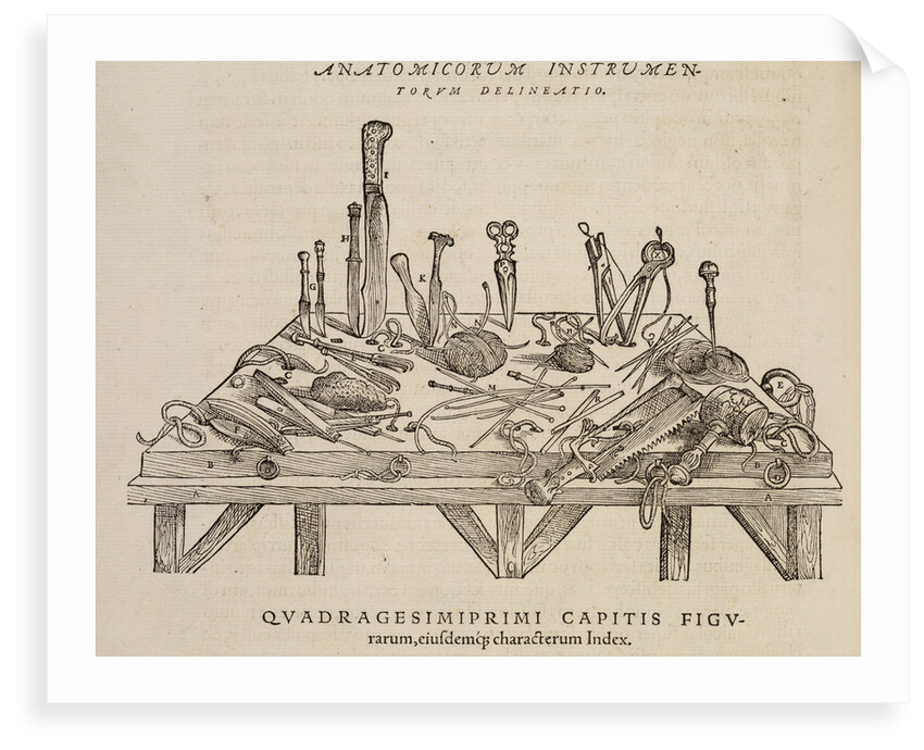 'Anatomicorum instrumentorum delineatio' by Studio of Titian