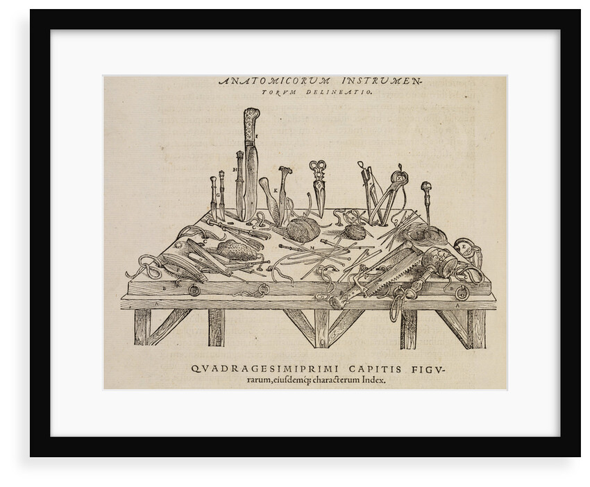 'Anatomicorum instrumentorum delineatio' by Studio of Titian