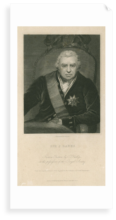Portrait of Joseph Banks (1743-1820) by Charles Edward Wagstaff