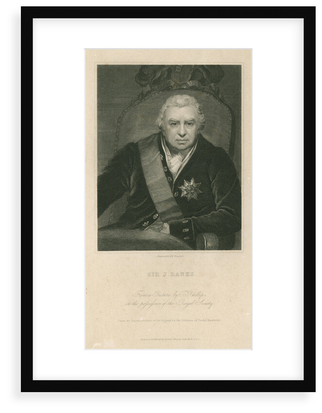 Portrait of Joseph Banks (1743-1820) by Charles Edward Wagstaff