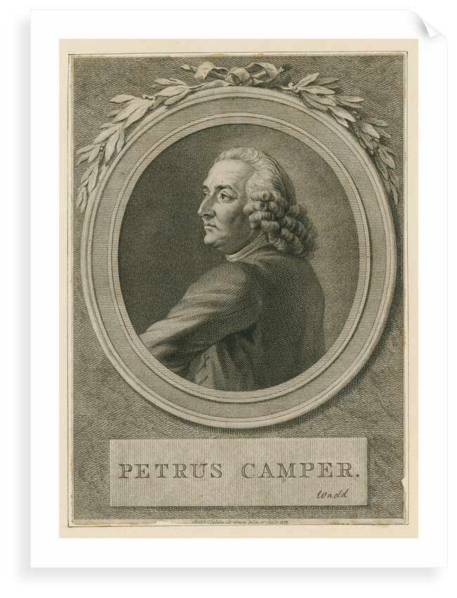 Portrait of Pieter Camper (1722-1789) by Reinier Vinkeles